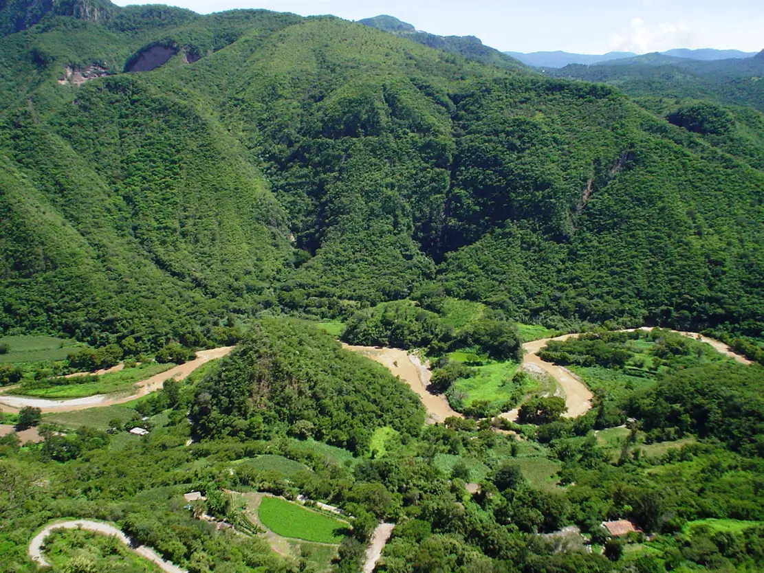 Pilcaya
